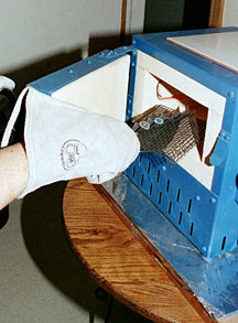 Enamelling process